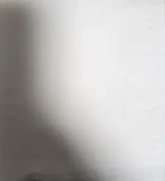専用出品