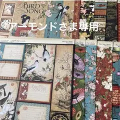 グラフィック45「Bird Song」8インチペーパー