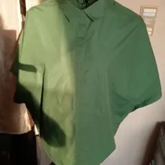 MELROSEClaire緑の半袖ボタンダウンシャツ
