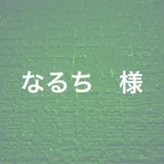 なるち様　専用