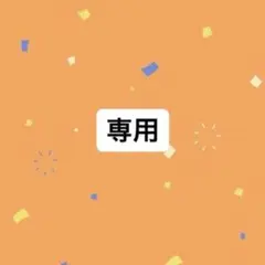 専用ページ