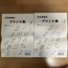 【未使用】全珠連 段位プリント集 2冊セット 自宅練習用 送料無料★送料無料★