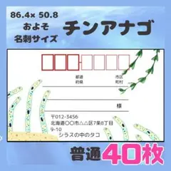 【チンアナゴ】宛名シール　差出人シール　普通サイズ　40枚　シンプル　海　魚
