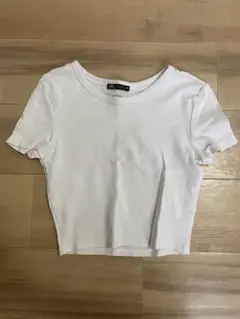 ZARA ホワイト クロップド Tシャツ Sサイズ