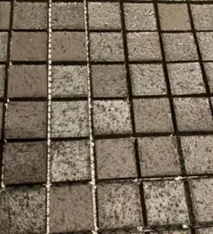 エコカラットプラス かましずく
