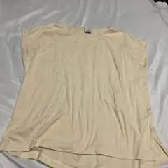 Lサイズ Tシャツ 綿100%