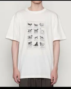 History of Art 犬イラスト Tシャツ Lサイズ アイボリー