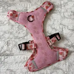 Item thumbnail for item 614c0039-1cda-4c0e-9838-0951ddd799f7