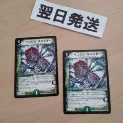 ⒆旧枠 ベニジシスパイダー 2枚