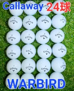 Callaway WARBIRD 白 24球【2ダース分】ロストボール
