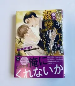 ヤクザCEOに囲われたら極上溺愛生活が待っていました!? 髙月紅葉　美品