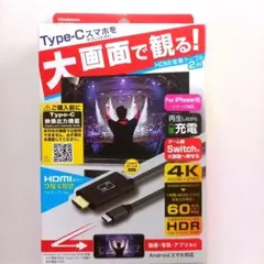 HDMI変換ケーブル2m　KD-222　新品　カシムラ