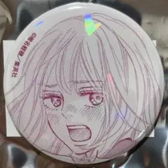 君に届け　原作　トレーディング　ホログラム　缶バッジ　胡桃沢梅