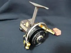 m66702782522_1.jpg?1734866448