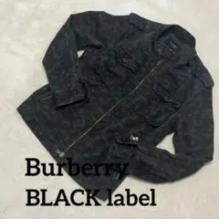 Item thumbnail for item 0a8fb0d8-4da9-4d22-b185-bef246947845