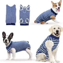 Item thumbnail for item 1309c2d7-6dde-4195-8db0-40c8a6d3757b