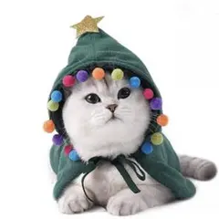 Item thumbnail for item dd6d9028-6761-421e-b43a-1a6f882c7fe9