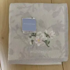 Item thumbnail for item 9ea28bba-00ba-42a2-bccb-0a119ca8030b