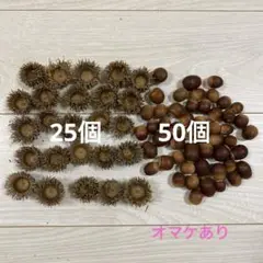 Item thumbnail for item 2ee52ad2-404a-4853-b34e-20bf5d06badb