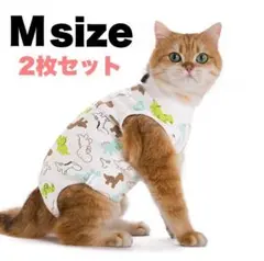 Item thumbnail for item 26f02c91-f957-4e70-a366-f02933d21c54