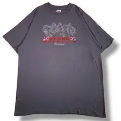 F560　【即購入OK】　anvil　サザンクロスTシャツ　サイズXL　グレー