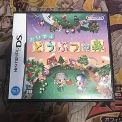 おいでよどうぶつの森　DS ソフト　2