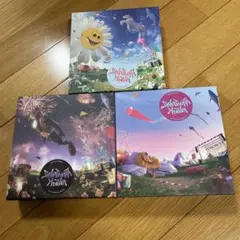 SEVENTEEN セブチ