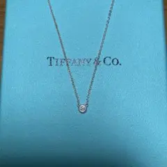 Tiffany ネックレス AG925
