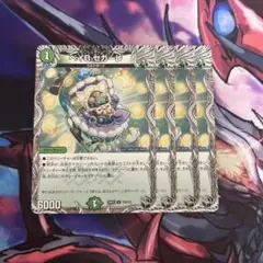 ベイBセガーレ 4枚 ベイビーセガーレ