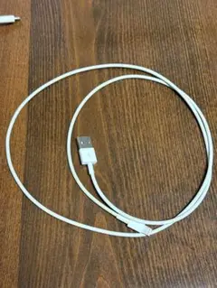 【充電ケーブル】USB Type-A Lightning 正規品 1m