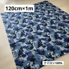 Item thumbnail for item b696ddf2-befa-4a06-a45e-622d93086647