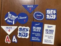 中日ドラゴンズ　カリステ選手　フレークシール