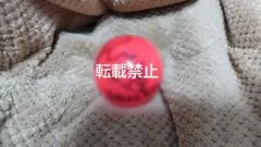 Item thumbnail for item 9f11e977-f536-47aa-b166-5c071f885f25