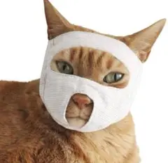 Item thumbnail for item 23e99544-3d04-4c12-9e68-fa63a1ac8ee7