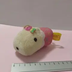 カピバラ　7th マスコット　ぬいぐるみ