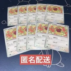 【未使用】ミミロル C10枚 メガシンフォニア m1S 053/063
