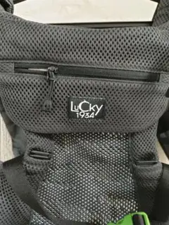 Item thumbnail for item 9fe420c9-e21e-442a-94f5-1c60fa0920e4