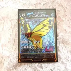 蟲神器　ゴクラクトリバネアゲハ