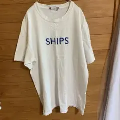 シップス　フルーツオブザルーム　コラボ　Tシャツ　白　青　ユニセックスL