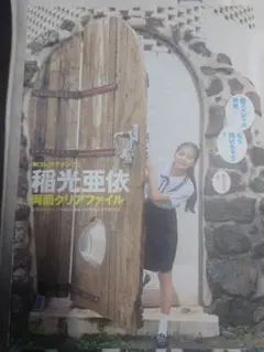 稲光亜依　クリアファイル　ヤングジャンプ付録　未開封