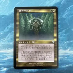 ★MTG 真の木立ち