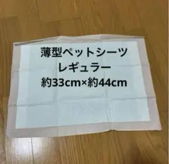 Item thumbnail for item 3af94055-31fd-4a12-887c-73c672b8ea18