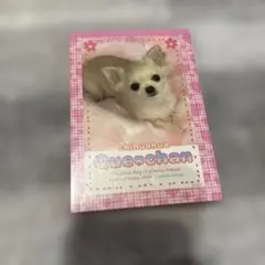 【お盆最終セール‼️】平成レトロ　チワワ　メモ帳