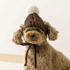 Item thumbnail for item 98801656-6fb4-47b2-a120-058b1341667c