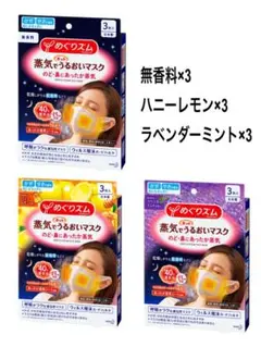 めぐりズム 蒸気でホットうるおいマスク【9枚セット】