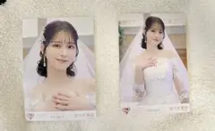 =LOVE 佐々木舞香　恋人以上、好き未満　セミコンプ
