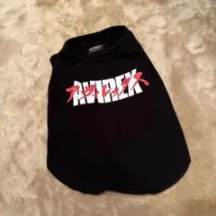 Item thumbnail for item 45998dc8-3bde-4cfa-a773-8aa60c91420e