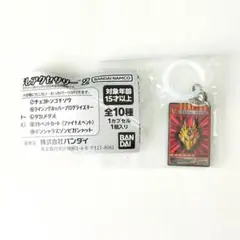 ◎仮面ライダー めじるしアクセサリー2 アドベントカード
