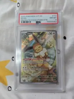 ポケモンカード イーブイ 海外版 プロモ AR　psa8