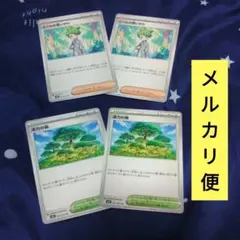 ミツルの思いやり　活力の森　2枚セット